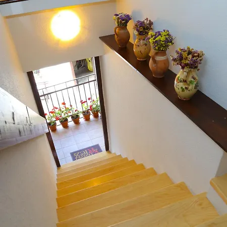 Guest house Ricz Palic