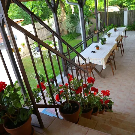 Ricz Guest house 3*
