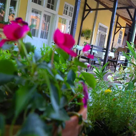 Guest house Ricz Palic