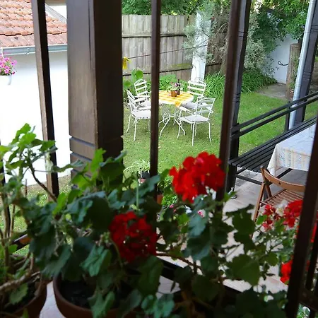 Ricz Palic