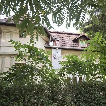 Guest house Ricz 3*