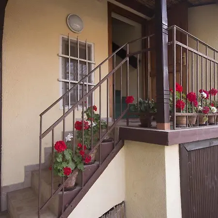 Guest house Ricz 3*