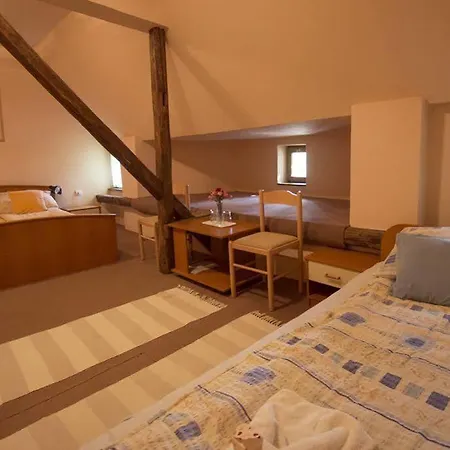 Ricz Guest house Palic