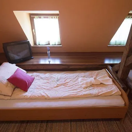 Guest house Ricz 3*