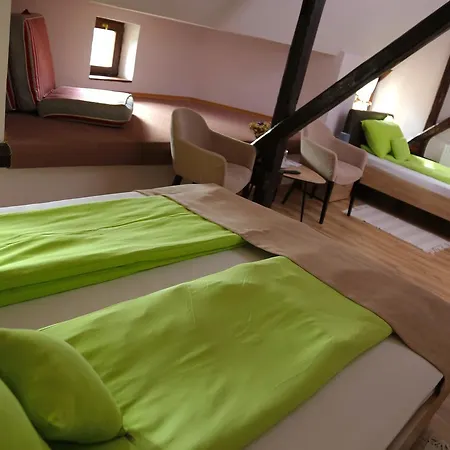 Guest house Ricz